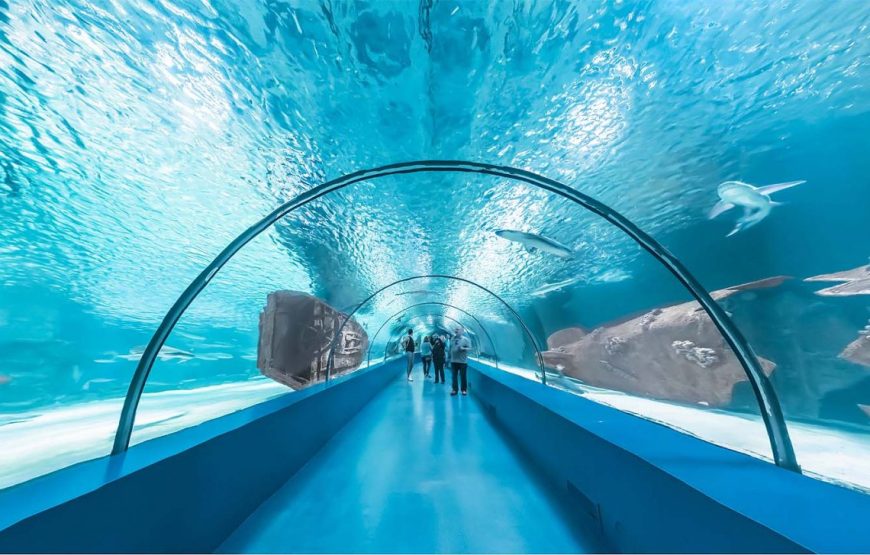 Tunnel Aquarium In Antalya