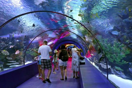 Tunnel Aquarium In Antalya