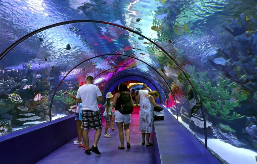 Tunnel Aquarium In Antalya