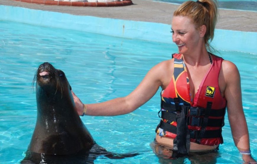 Dolphin and Sea Lion Show