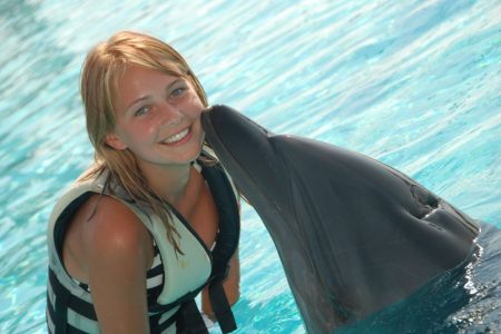 Dolphin and Sea Lion Show