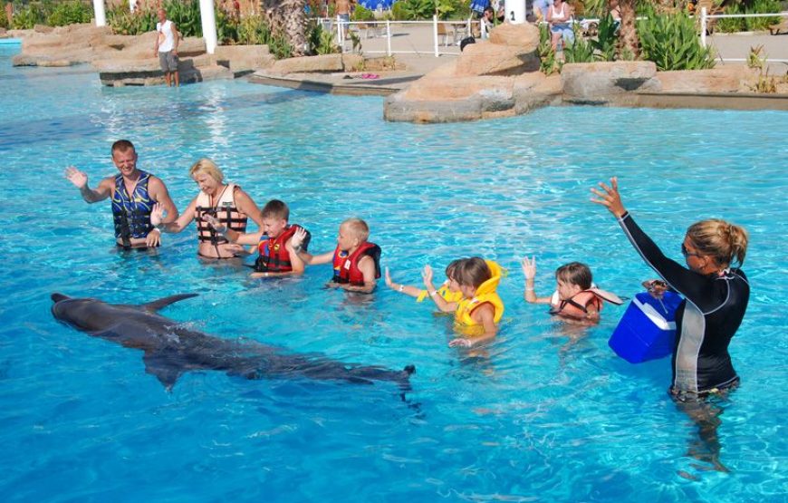 Dolphin and Sea Lion Show